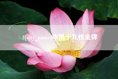 渑池中国十九枚金牌