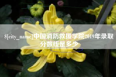 渑池中国消防救援学院2019年录取分数线是多少