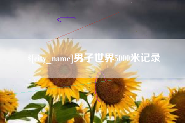 渑池男子世界5000米记录