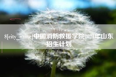 渑池中国消防救援学院2021年山东招生计划