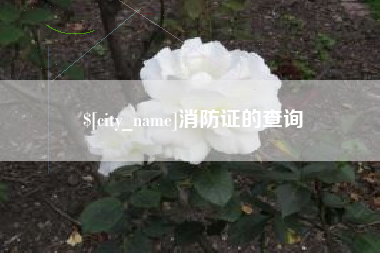渑池消防证的查询