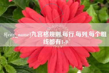 渑池九宫格规则,每行,每列,每个粗线都有1-9
