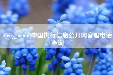 渑池中国执行信息公开网客服电话查询
