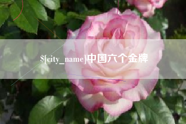 渑池中国六个金牌