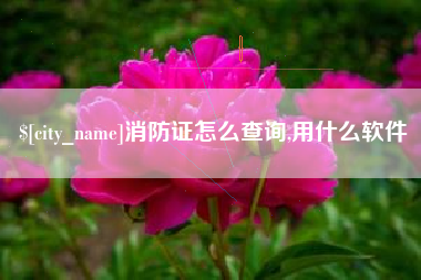 渑池消防证怎么查询,用什么软件