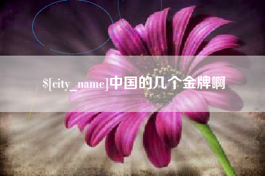 渑池中国的几个金牌啊