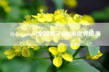 渑池全国男子5000米世界纪录