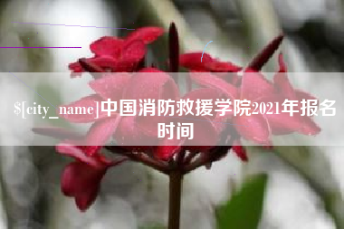 渑池中国消防救援学院2021年报名时间