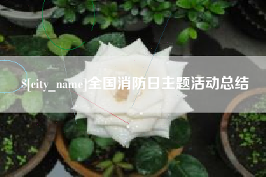 渑池全国消防日主题活动总结