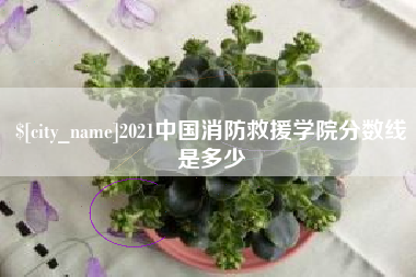渑池2021中国消防救援学院分数线是多少