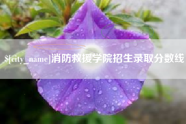 渑池消防救援学院招生录取分数线