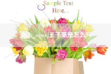 渑池王子豪是怎么写
