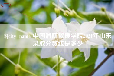 渑池中国消防救援学院2021年山东录取分数线是多少