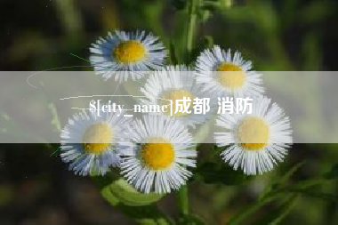 渑池成都 消防
