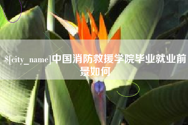 渑池中国消防救援学院毕业就业前景如何