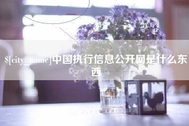 渑池中国执行信息公开网是什么东西