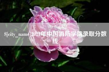 渑池2021年中国消防学院录取分数线