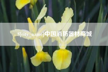 渑池中国消防器材商城