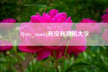 渑池有没有消防大学