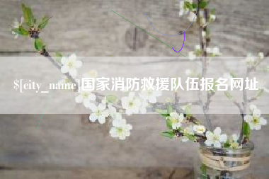 渑池国家消防救援队伍报名网址