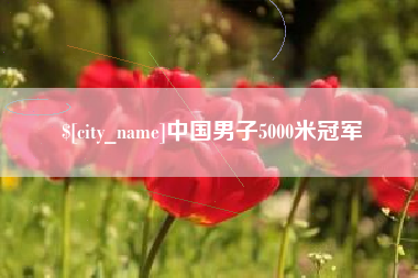 渑池中国男子5000米冠军