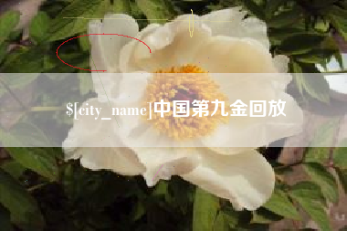 渑池中国第九金回放
