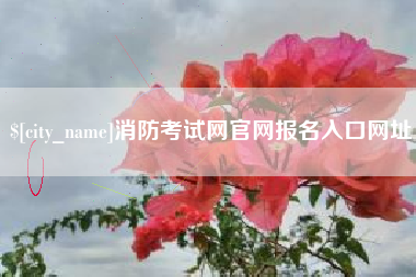 渑池消防考试网官网报名入口网址