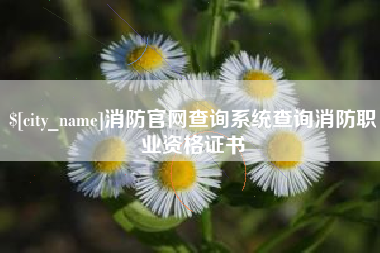 渑池消防官网查询系统查询消防职业资格证书