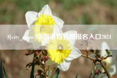 渑池中国消防官网报名入口2024