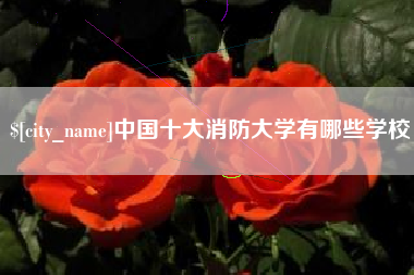 渑池中国十大消防大学有哪些学校