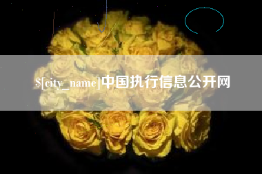 渑池中国执行信息公开网