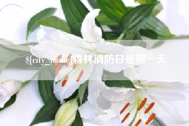 渑池森林消防日是哪一天