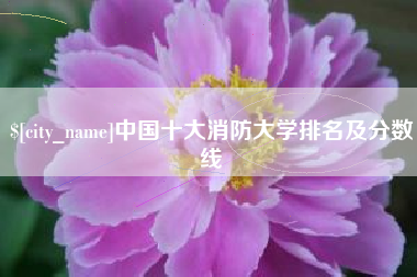渑池中国十大消防大学排名及分数线
