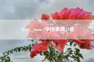 渑池中国金牌18金