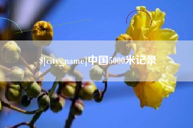 渑池中国5000米记录