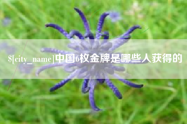 渑池中国6枚金牌是哪些人获得的