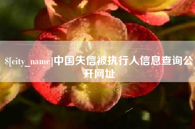 渑池中国失信被执行人信息查询公开网址