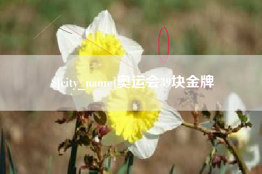 渑池奥运会39块金牌