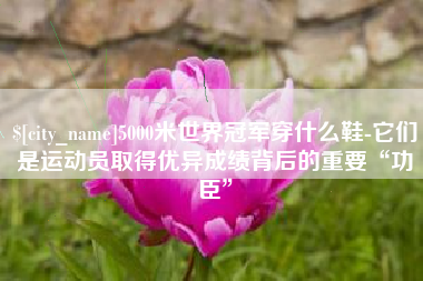 渑池5000米世界冠军穿什么鞋-它们是运动员取得优异成绩背后的重要“功臣”