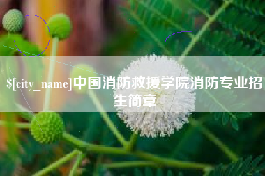 渑池中国消防救援学院消防专业招生简章