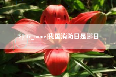 渑池我国消防日是哪日