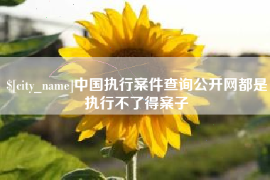 渑池中国执行案件查询公开网都是执行不了得案子