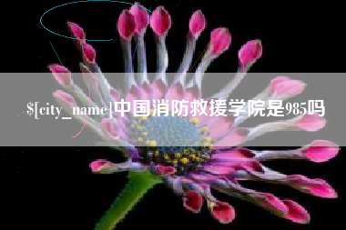 渑池中国消防救援学院是985吗