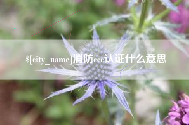 渑池消防ccc认证什么意思