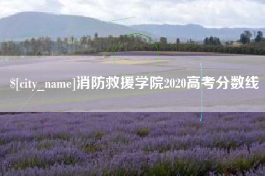渑池消防救援学院2020高考分数线