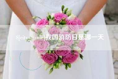 渑池我国消防日是哪一天