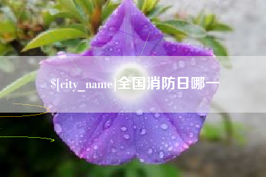 渑池全国消防日哪一
