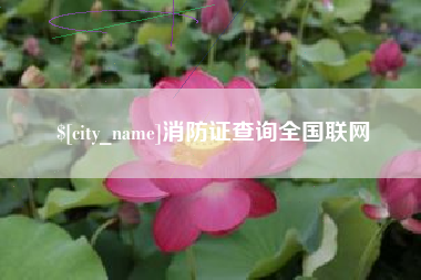 渑池消防证查询全国联网