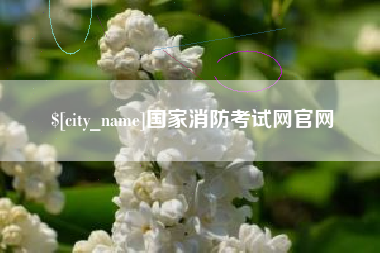 渑池国家消防考试网官网