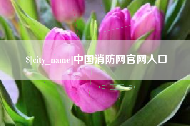 渑池中国消防网官网入口